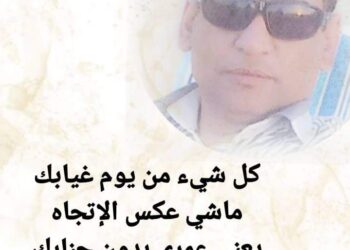 ارجعي بقلم سيف الدين وترجمة إلى البرتغالية تغريد بو مرعي