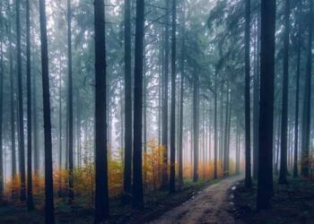 الأديبة صباح سعيد السباعي / جواب بلا سؤال