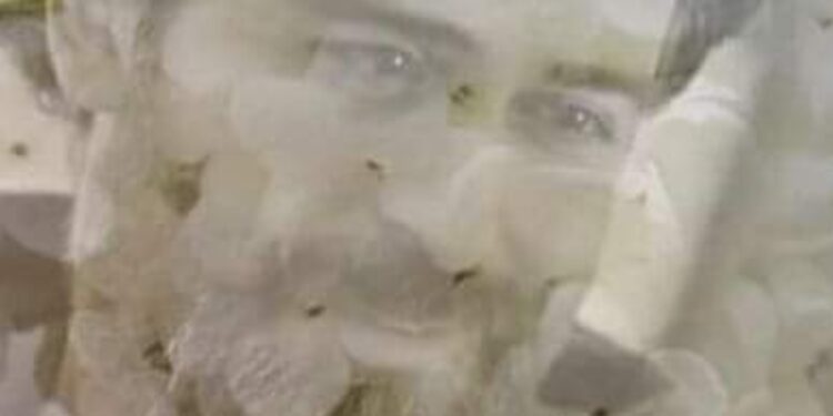 الشاعر خالد الدمشقي / ريح الأحبه