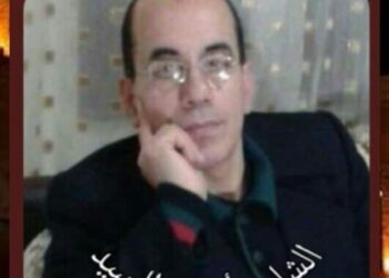 الشاعر أحمد السيد / من هذا ؟