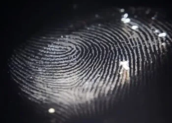 سَاجِنٌ للَّيلِ