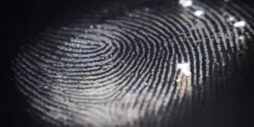 سَاجِنٌ للَّيلِ