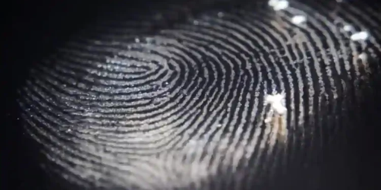 سَاجِنٌ للَّيلِ