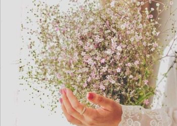 عواطف رشيد\ لماذا