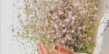 عواطف رشيد\ لماذا