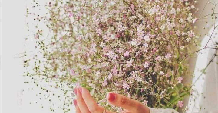 عواطف رشيد\ لماذا