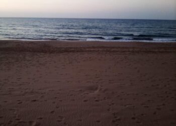 الشاعرة مريم بختاوي / القلم المنافق