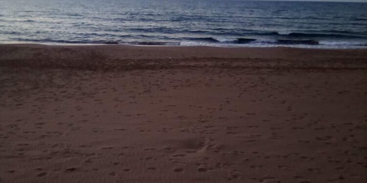 الشاعرة مريم بختاوي / القلم المنافق