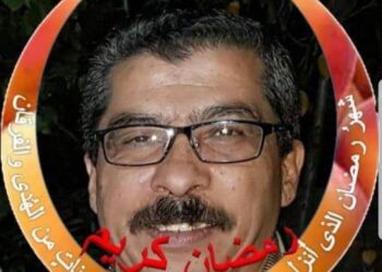 الشاعر باسل محمود أبو الشيخ / على أرض السلام