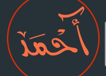 الشاعر أحمد نجم الدين / في خِضَم الياء