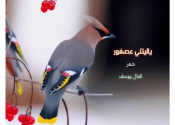 الشاعر كمال يوسف /  يا ليتني