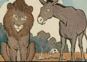 من قصص الحيوانات