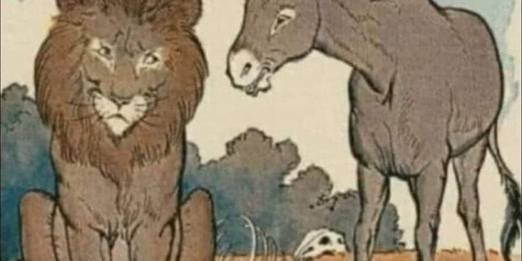 من قصص الحيوانات