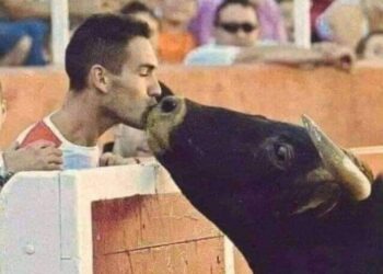 لا يوجد حيوان في العالم أكثر وحشية من الانسان …