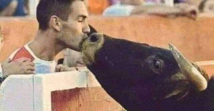 لا يوجد حيوان في العالم أكثر وحشية من الانسان …