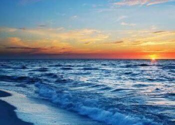 الشاعر د. محمد آل داود