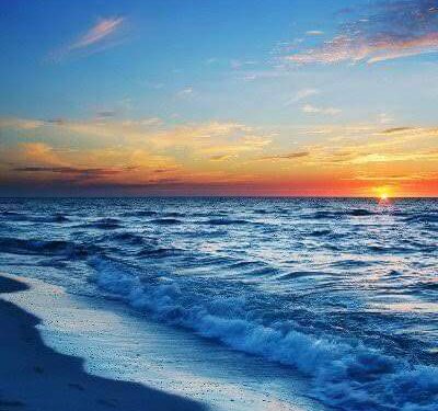 الشاعر د. محمد آل داود