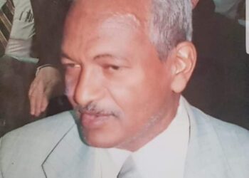 الشاعر أحمد عبد الهادي / سيرة ذاتية