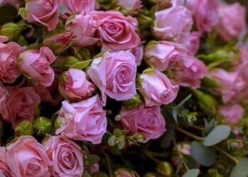 إنّي أحبّكَ بقلم الشاعرة غادة ميرو