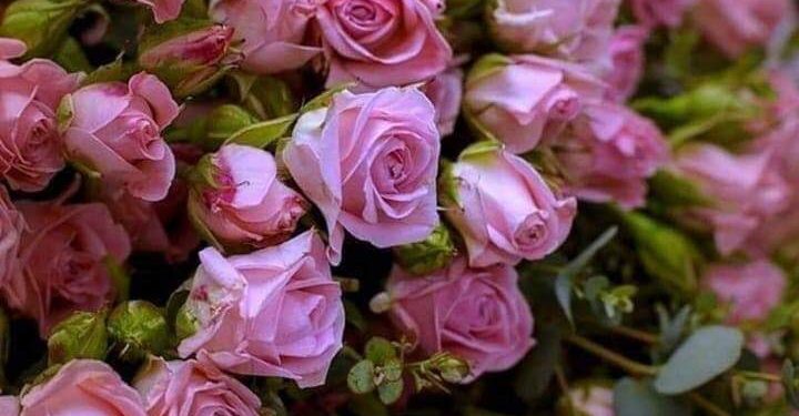 إنّي أحبّكَ بقلم الشاعرة غادة ميرو