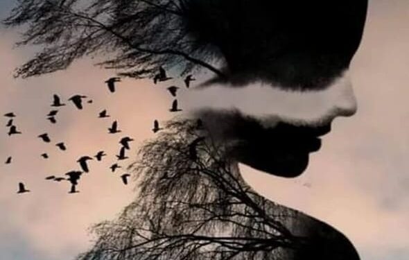 الشاعرة حنان بدران / علامة سؤال