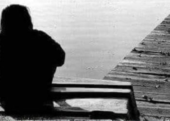 بائع الكستناء / الأديبة فادية حسون