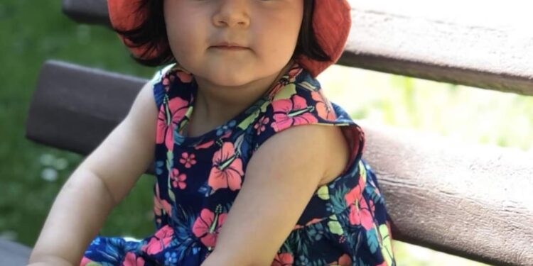 لغتنا الحبيبة / الشاعرة عزيزة طرابلسي