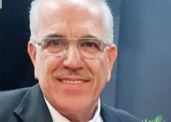 خانني حظِّي / الشاعر ناظم حسون