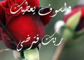 هسهسةُ خاطر / الشاعرة جهاد بدران