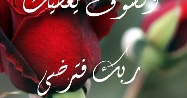 هسهسةُ خاطر / الشاعرة جهاد بدران