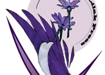 القصيدة العمودية المشتركة             (الحلم العربي) شارك فيها  ستون من كبار شعراء الوطن العربي