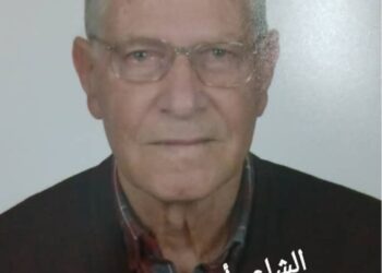 شغب الحبيب *أديب نعمة