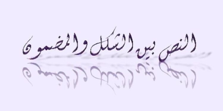 ،،النص بين الشكل والمضمون،، كتاب جديد  للأديب المصري ناصر رمضان عبد الحميد/