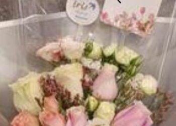 رحيل ….  قصة: بقلم الكاتب الإعلامي سعدالله  بركات.