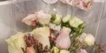 رحيل ….  قصة: بقلم الكاتب الإعلامي سعدالله  بركات.