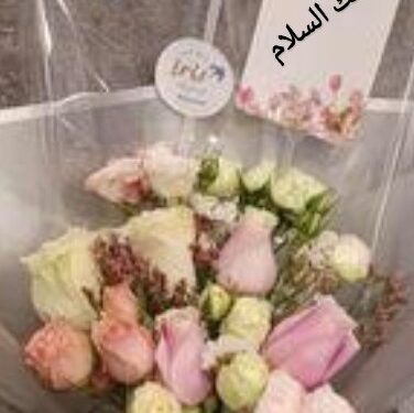 رحيل ….  قصة: بقلم الكاتب الإعلامي سعدالله  بركات.