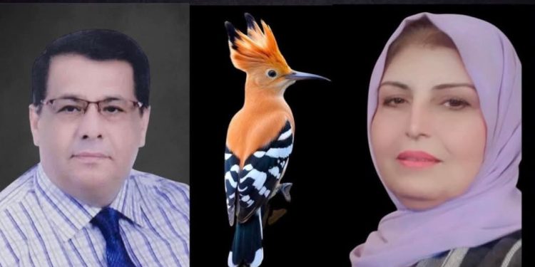 دراسة نقدية لقصيدة كهدهد فرّ للشاعرة ناهده شبيب بقلم الناقد د. عبد الكريم الحلو