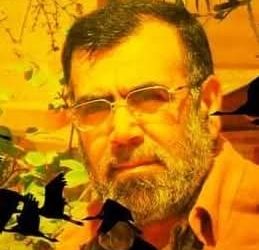 عُذرا إليكَ / الشاعر عبد الحليم عبد الحليم