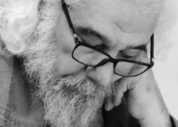 فصبرٌ جميل / الشاعر محمد عبد ربه طه