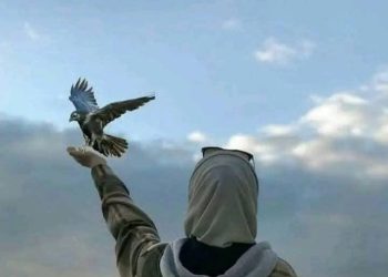 صباحك وردٌ و نور / الشاعرة زهرة ياسمين مقدسي