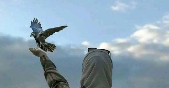 صباحك وردٌ و نور / الشاعرة زهرة ياسمين مقدسي