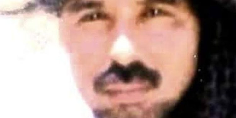 الخروف / بقلم الأديب عبد الله الصقور