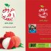 صدور ديوان الشاعر الهندي معصوم أحمد “حروف قد أينعت “