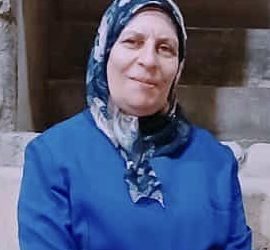 دراسة نقدية لديوان (طوفان غزة ) للشاعرة ثناء شلش بقلم الأديب حسن غريب